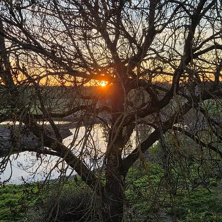 Orzechowe Wzgorze Lantgård