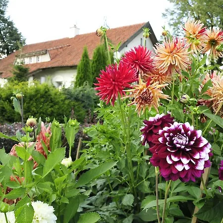 Orzechowe Wzgorze Agroturismo