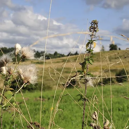 Orzechowe Wzgorze Agroturismo