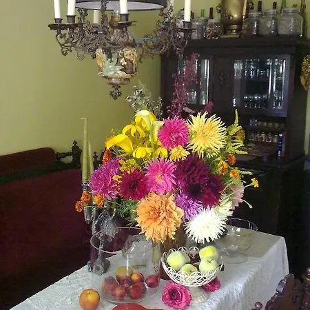 Orzechowe Wzgorze * Orzechowo (Olsztyn)