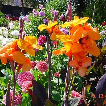 Orzechowe Wzgorze Orzechowo (Olsztyn)